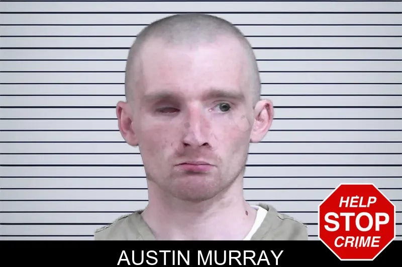 Austin Murray mugshot