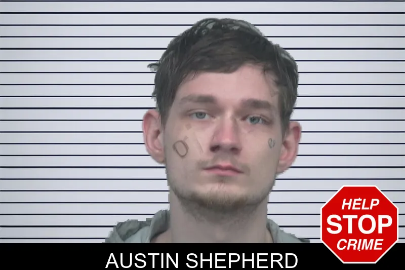 Austin Shepherd mugshot