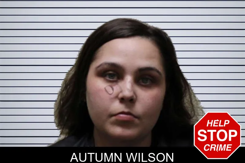 Autumn Wilson mugshot