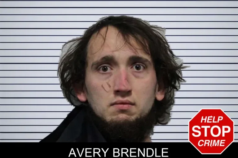 Avery Brendle