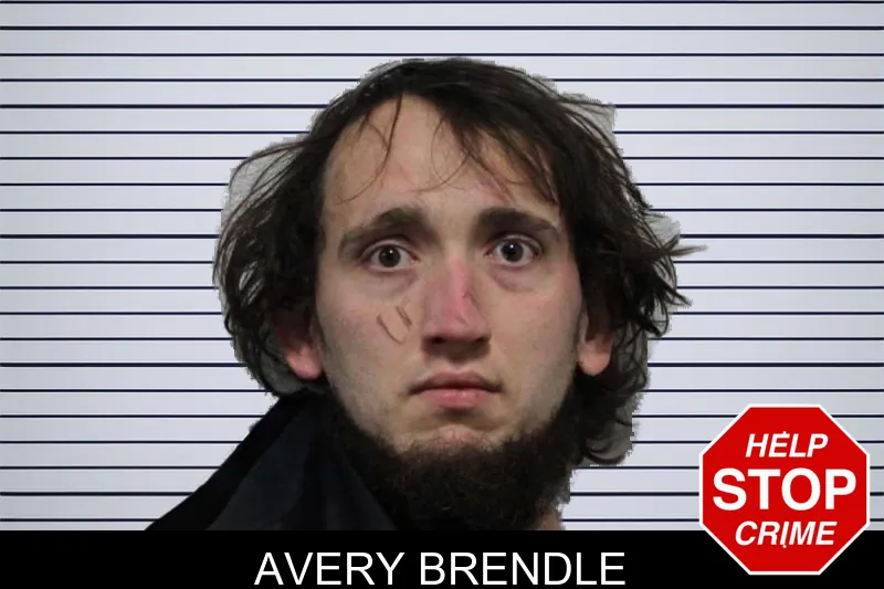 Avery Brendle mugshot
