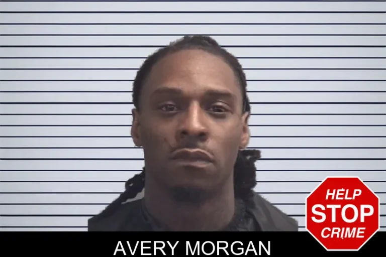 Avery Morgan