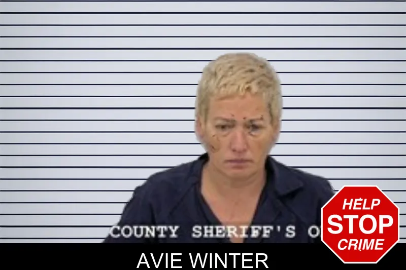 Avie Winter mugshot