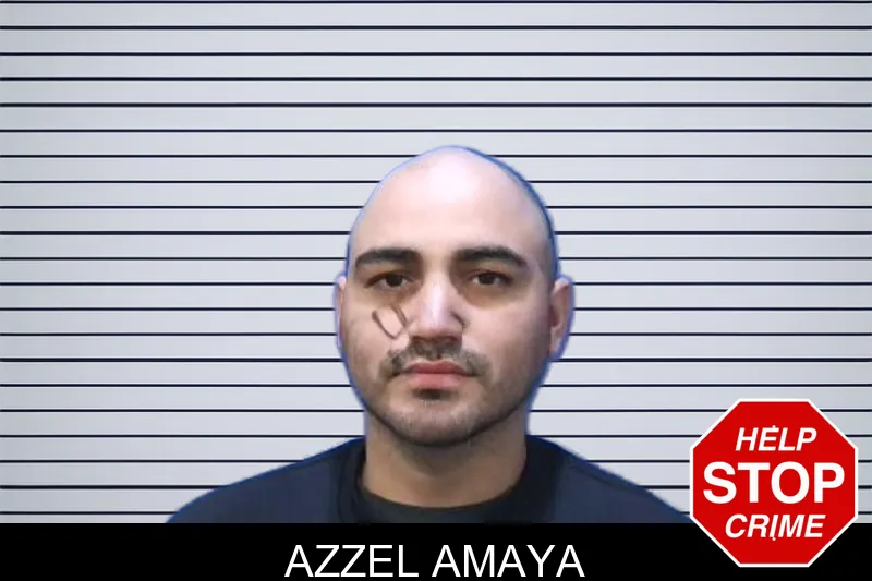Azzel Amaya mugshot