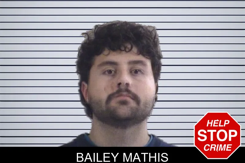 Bailey Mathis mugshot – Whitfield County , Georgia Bailey Mathis mugshot