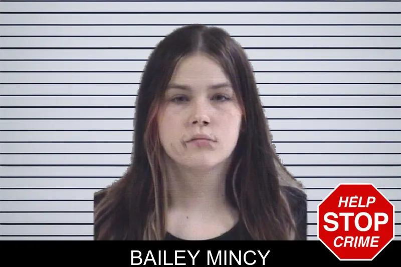 Bailey Mincy mugshot – Whitfield County , Georgia Bailey Mincy mugshot
