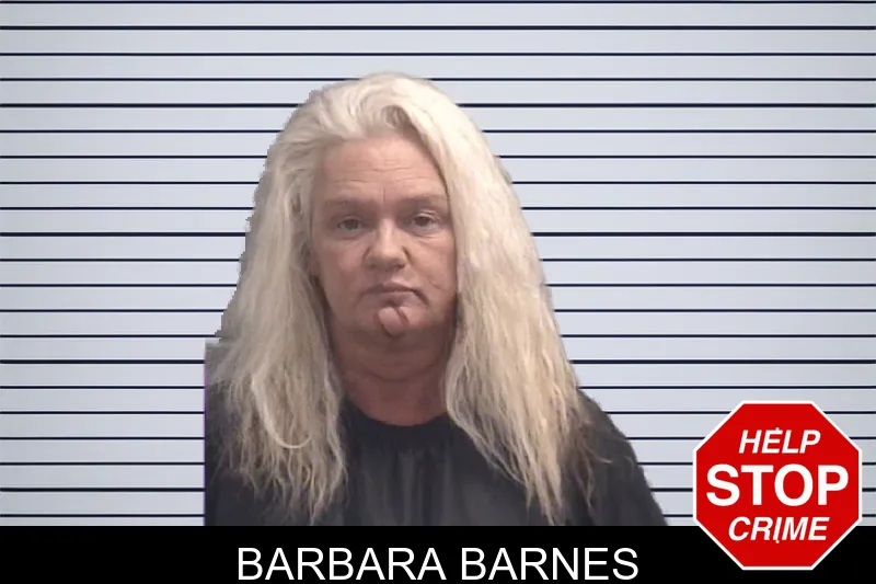 Barbara Barnes mugshot