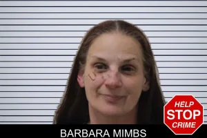 Barbara Mimbs mugshot