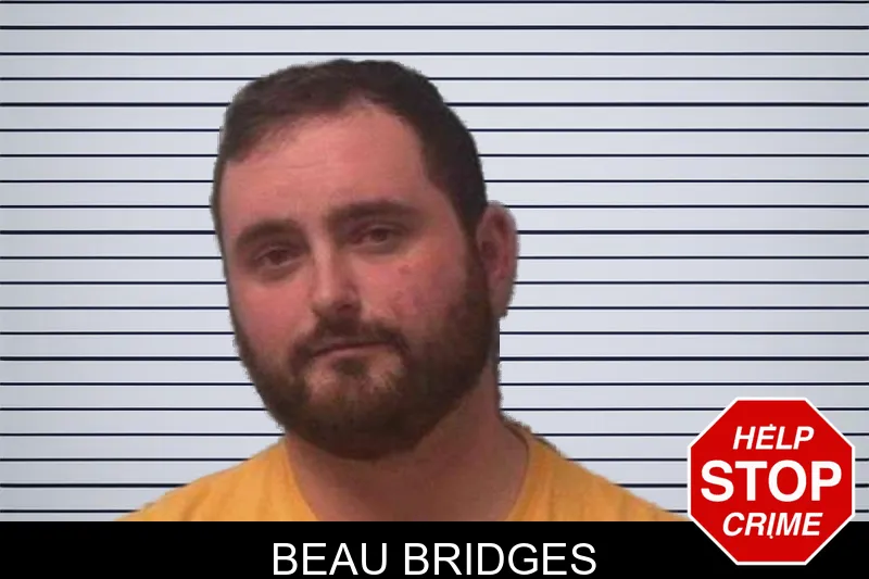 Beau Bridges mugshot