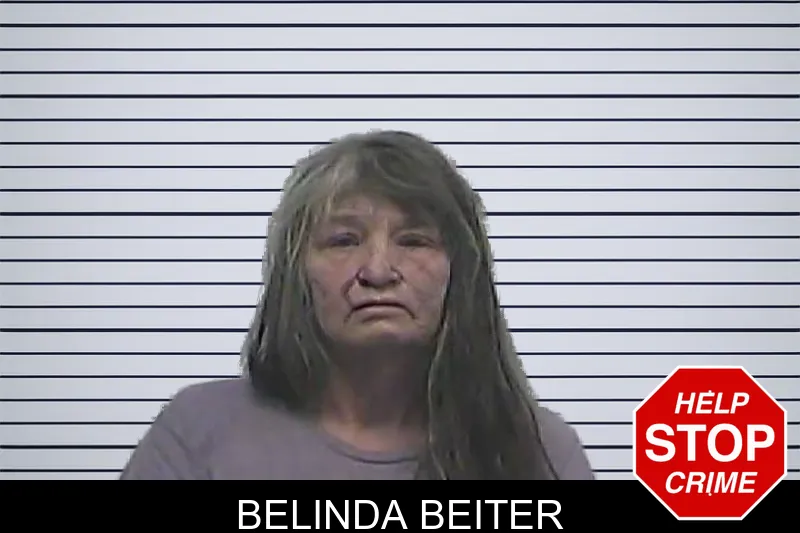 Belinda Beiter mugshot – Dawson County , Georgia Belinda Beiter mugshot