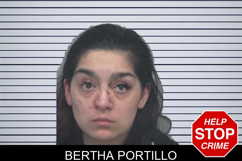 Bertha Portillo mugshot