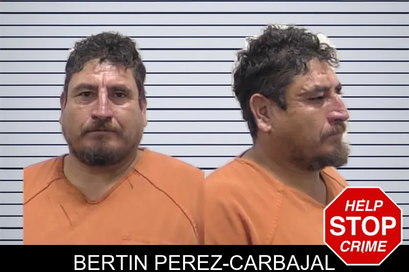 Bertin Perez-Carbajal mugshot