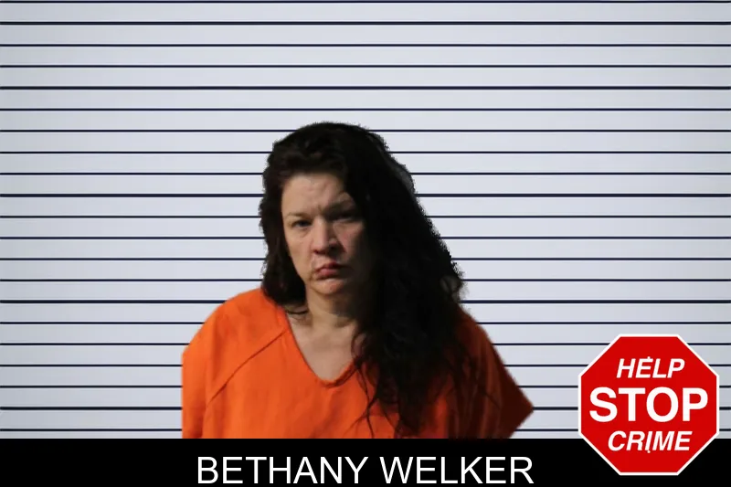 Bethany Welker mugshot