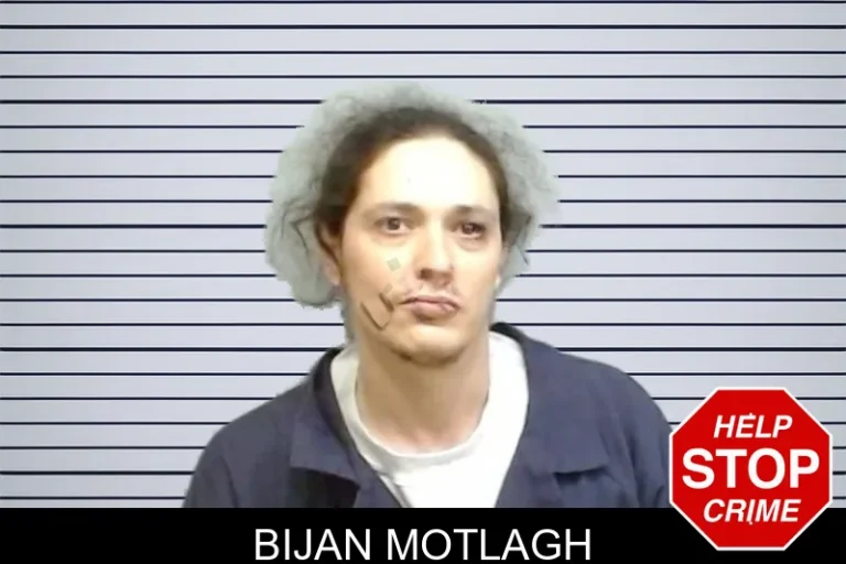 Bijan Motlagh mugshot – Fulton County , Georgia Bijan Motlagh