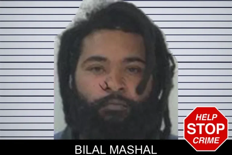 Bilal Mashal