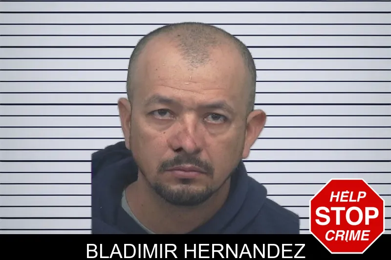 Bladimir Hernandez mugshot