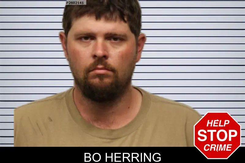 Bo Herring mugshot