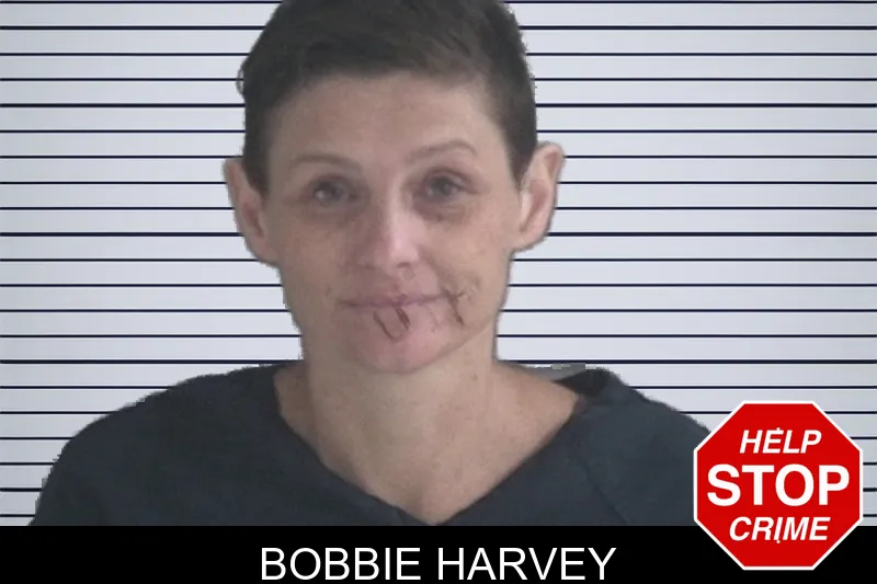 Bobbie Harvey mugshot