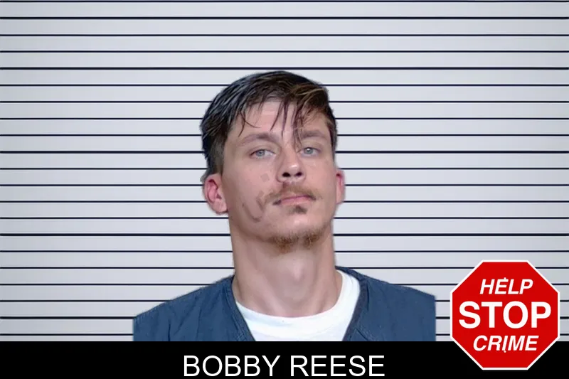 Bobby Reese mugshot