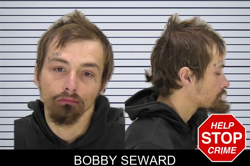 Bobby Seward mugshot