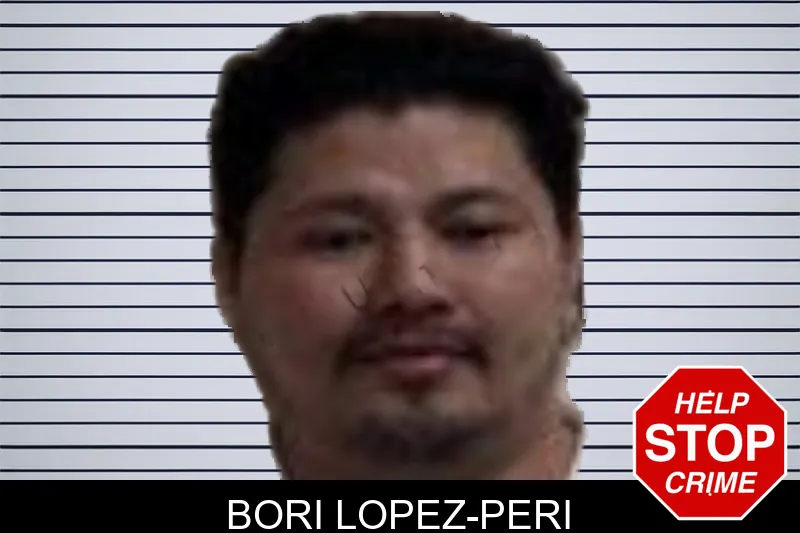 Bori Lopez-Peri mugshot