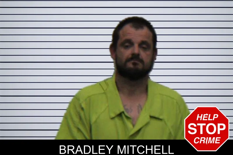 Bradley Mitchell mugshot