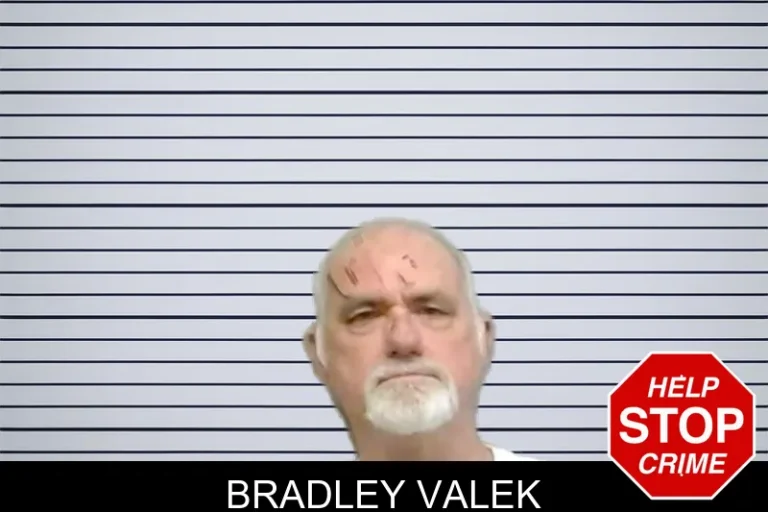 Bradley Valek mugshot – Fulton County , Georgia Bradley Valek