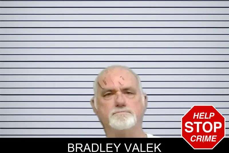 Bradley Valek mugshot