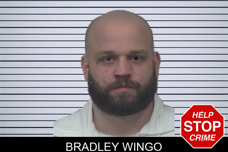 Bradley Wingo mugshot