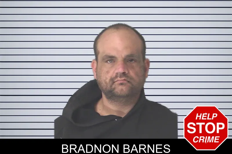 Bradnon Barnes mugshot – Douglas County , Georgia Bradnon Barnes mugshot