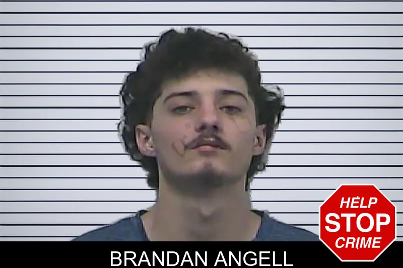 Brandan Angell mugshot