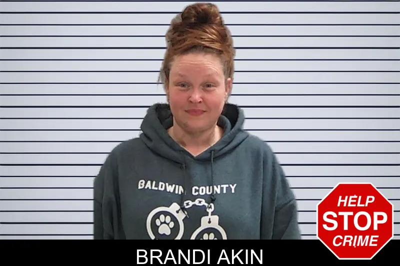 Brandi Akin mugshot