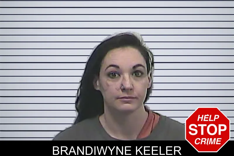 Brandiwyne Keeler mugshot – Dawson County , Georgia Brandiwyne Keeler mugshot