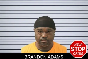 Brandon Adams mugshot
