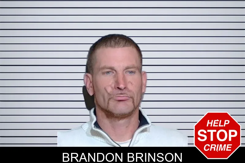 Brandon Brinson mugshot – Glynn County , Georgia Brandon Brinson mugshot