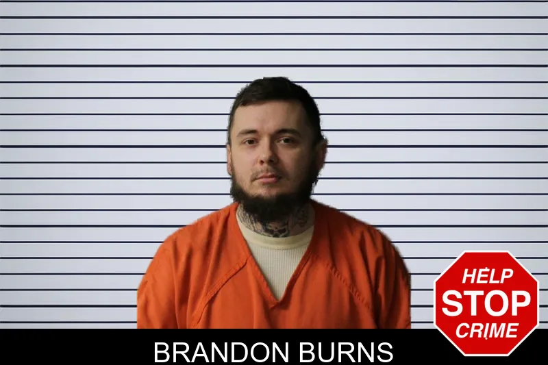 Brandon Burns mugshot