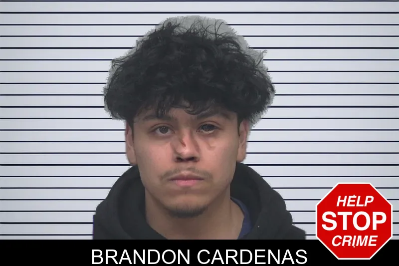 Brandon Cardenas mugshot