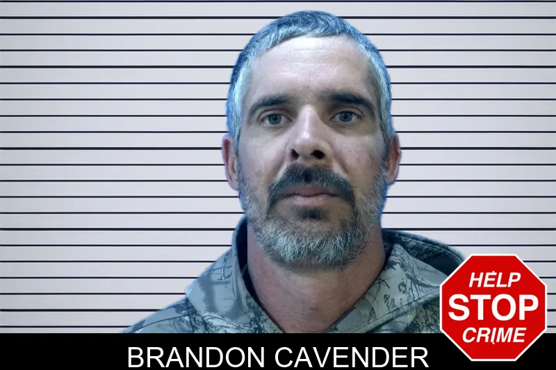 Brandon Cavender mugshot – Troup County , Georgia Brandon Cavender mugshot