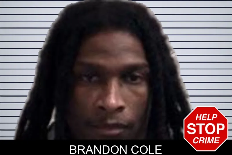 Brandon Cole mugshot – Henry County , Georgia Brandon Cole mugshot