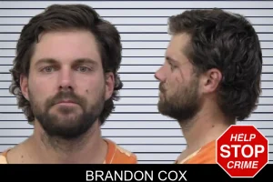 Brandon Cox mugshot