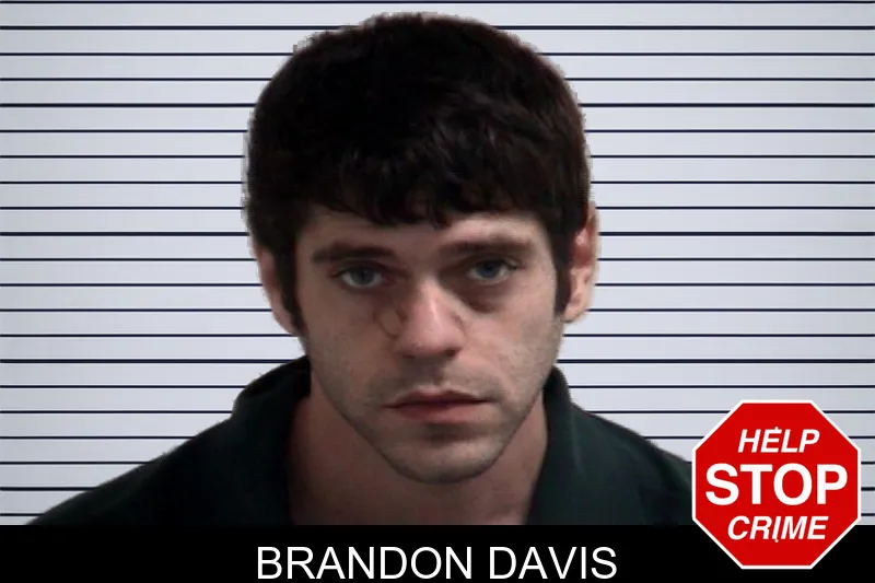 Brandon Davis mugshot – Henry County , Georgia Brandon Davis mugshot