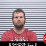 Brandon Ellis mugshot