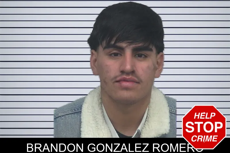 Brandon Gonzalez Romero mugshot