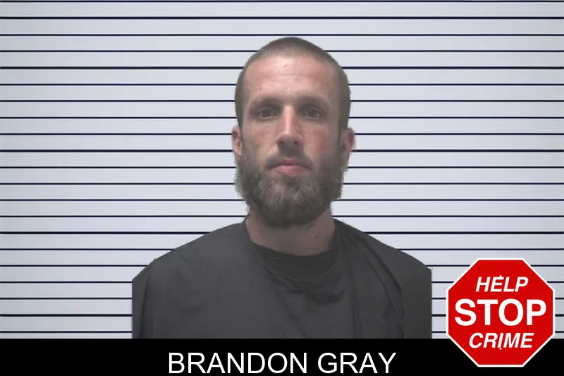 Brandon Gray mugshot
