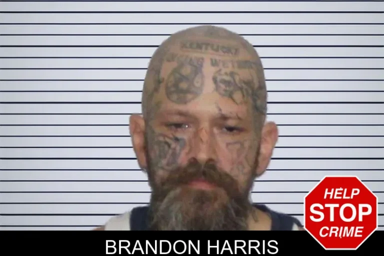 Brandon Harris