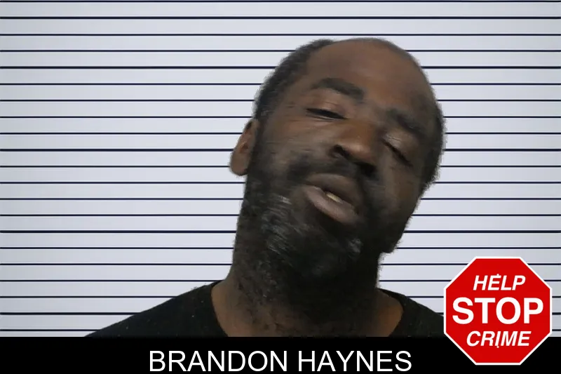 Brandon Haynes mugshot