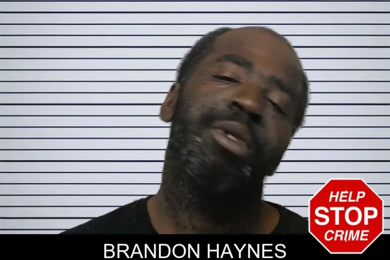 Brandon Haynes