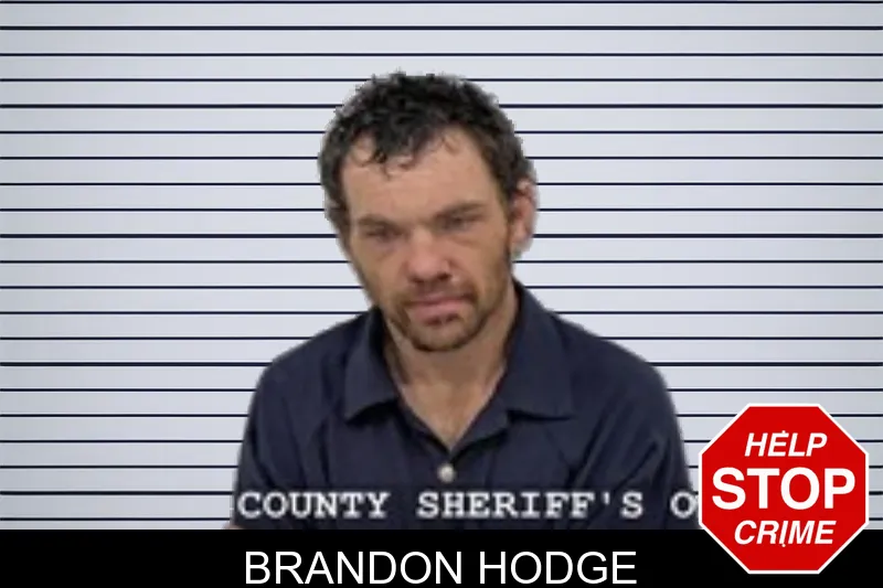 Brandon Hodge mugshot – Walton County , Georgia Brandon Hodge mugshot