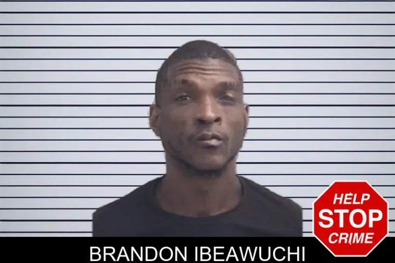 Brandon Ibeawuchi mugshot – Spalding County , Georgia Brandon Ibeawuchi