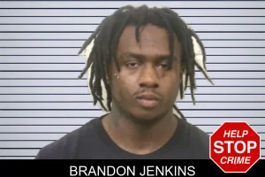 Brandon Jenkins mugshot
